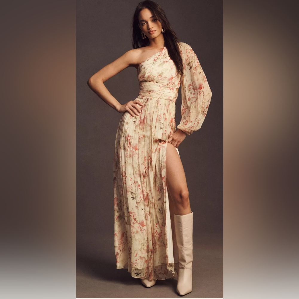 Anthropology, Floral Print Maxi Dress NWT